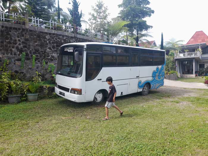 bus lalapo putih