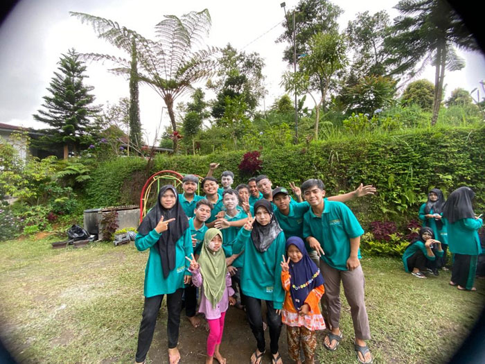 tim rumput hijau